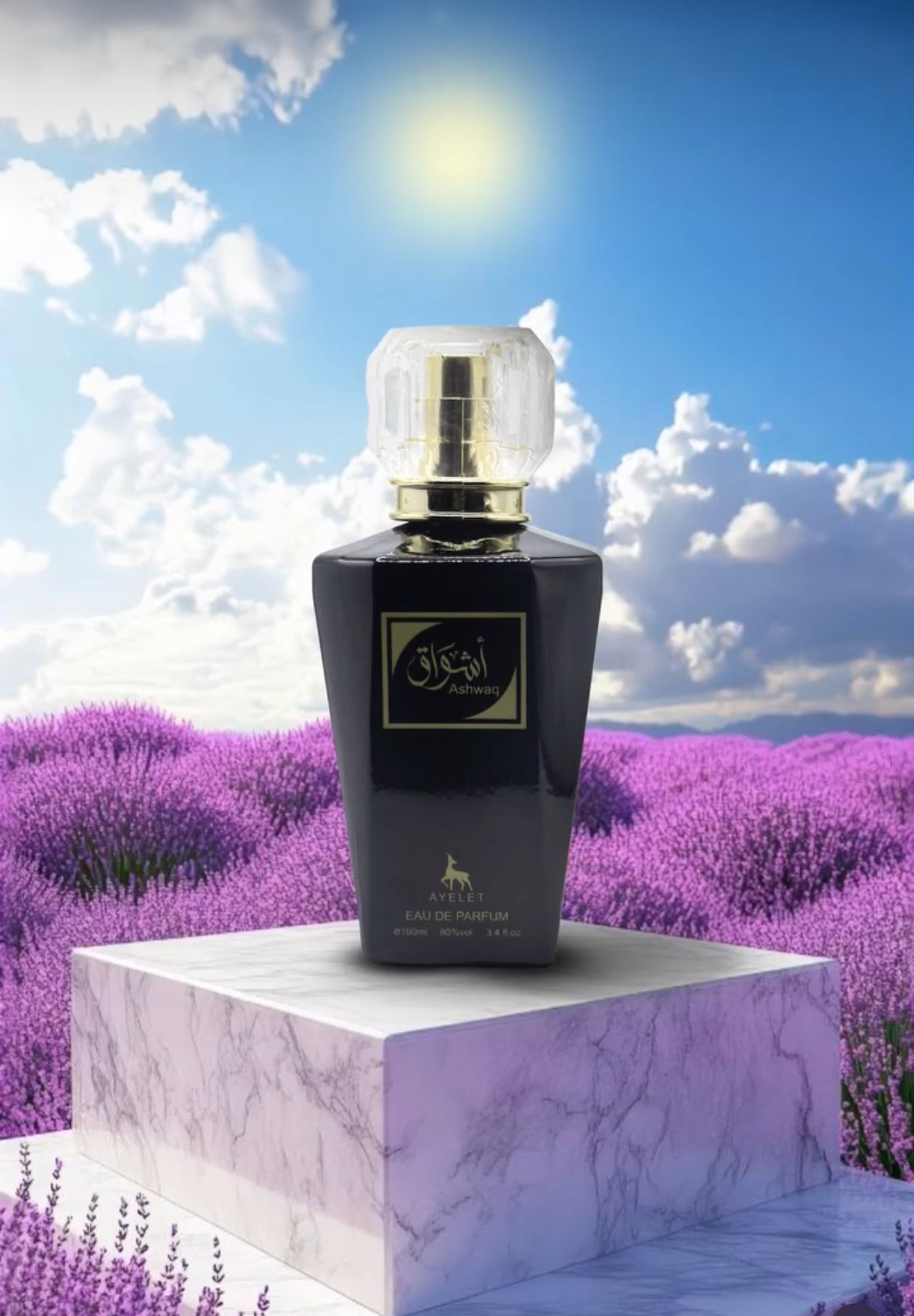 AYELET ASHWAQ MEN EDP 100ML