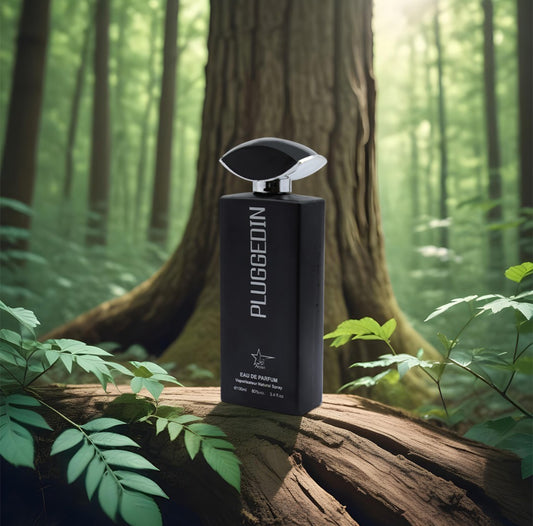 ARYAN PLUGGEDIN MEN EDP 100ML