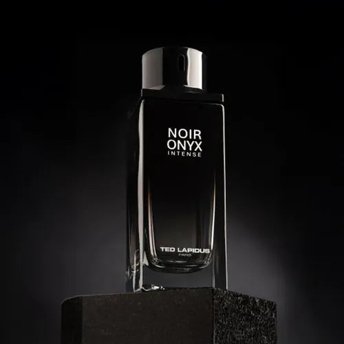 LAPIDUS NOIR ONYX INTENSE MEN EDP 125ML